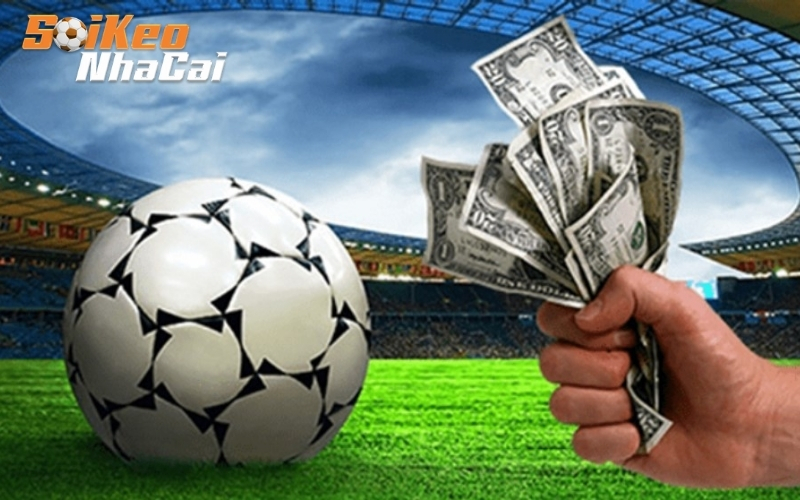 Soi kèo Bundesliga: Kèo Tài Xỉu và kèo thẻ phạt hấp dẫn