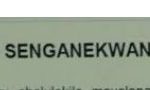 isakhiwo senganekwane: impendulo ayinakwenzeka