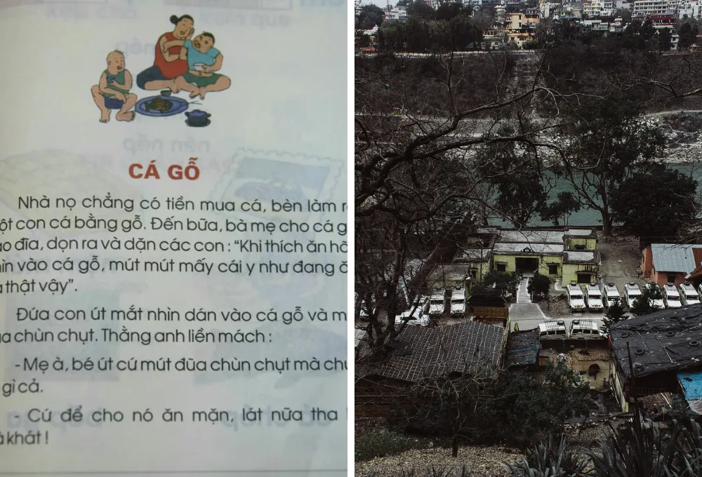 bắc kỳ ăn cá rô phi