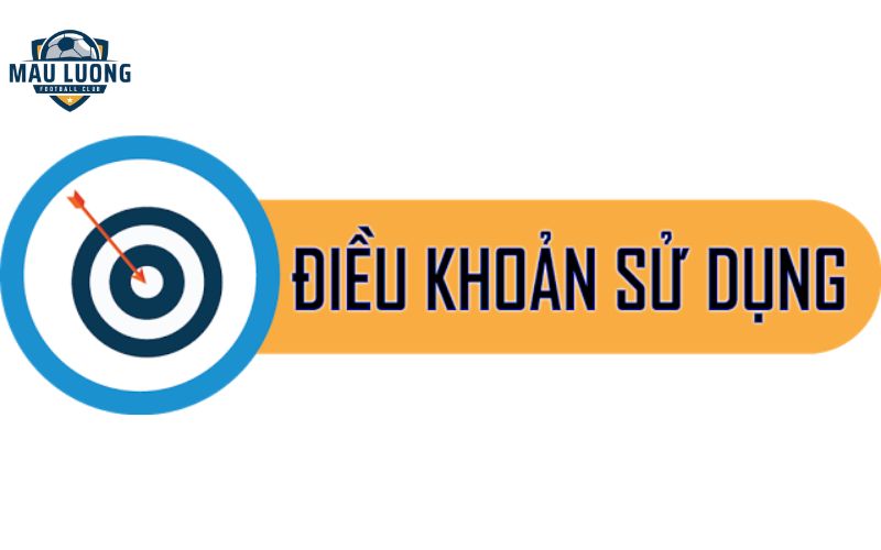 Điều Khoản Sử Dụng
