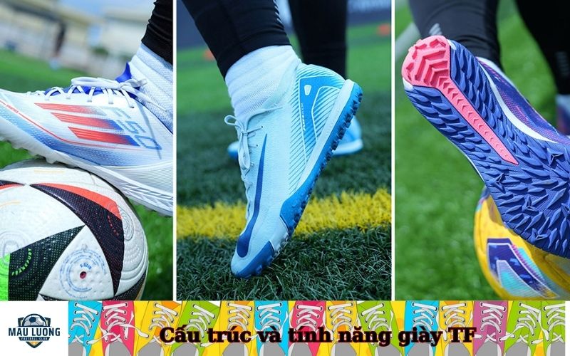 Cấu trúc và tính năng giày TF