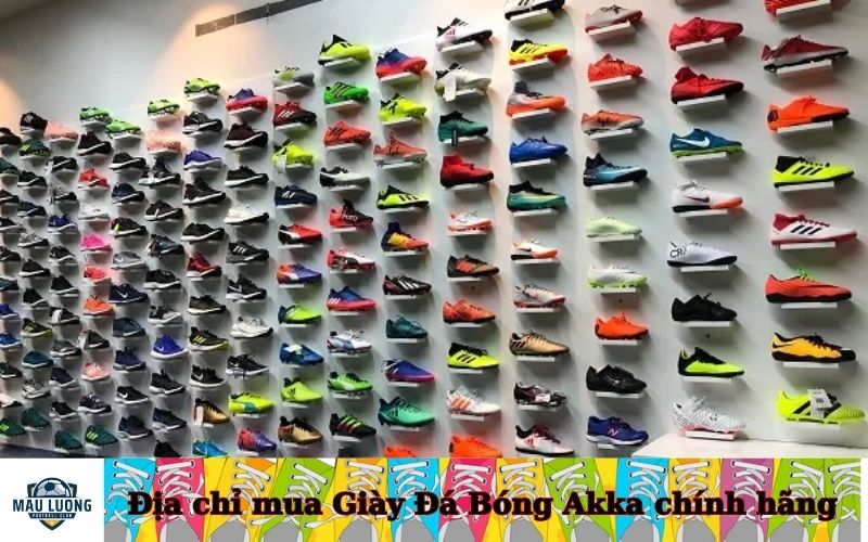 Địa chỉ mua Giày Đá Bóng Akka chính hãng