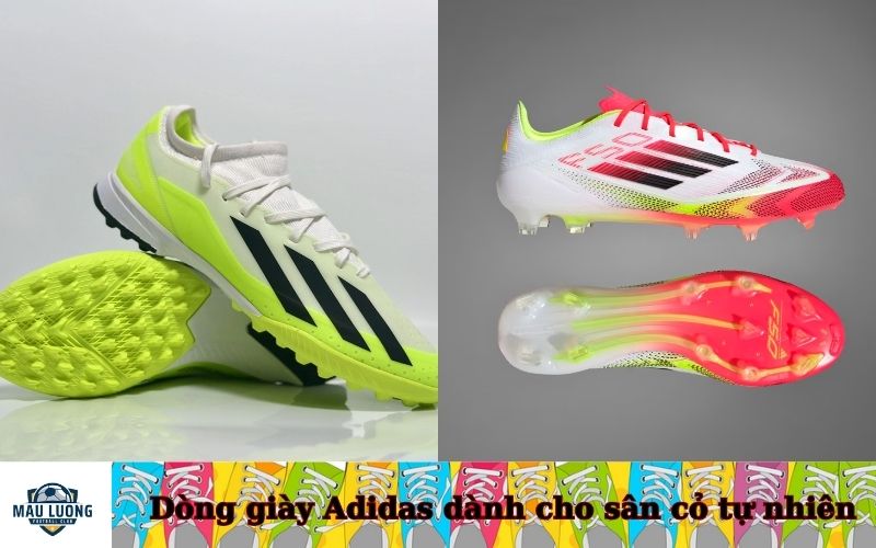 Dòng giày Adidas dành cho sân cỏ tự nhiên