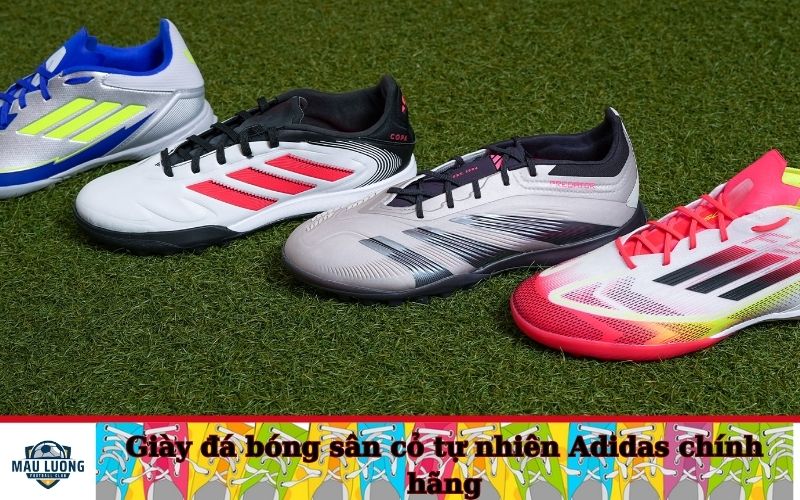 Giày đá bóng sân cỏ tự nhiên Adidas chính hãng