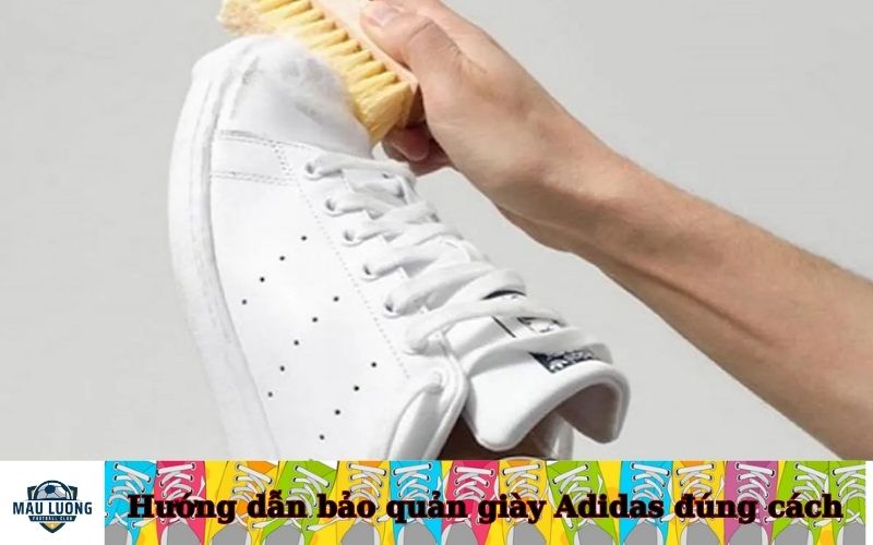 Hướng dẫn bảo quản giày Adidas đúng cách