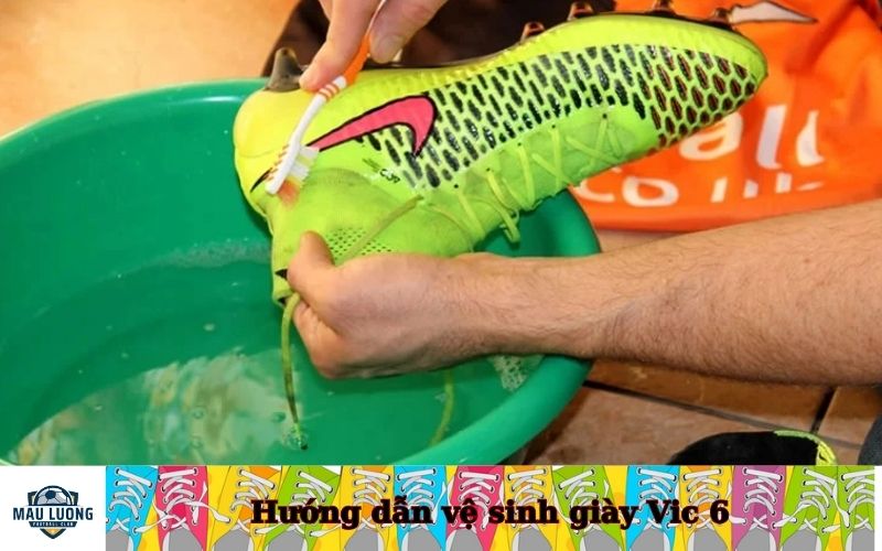 Hướng dẫn vệ sinh giày Vic 6