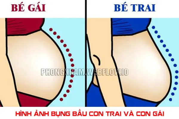 Hình ảnh bụng bầu con trai