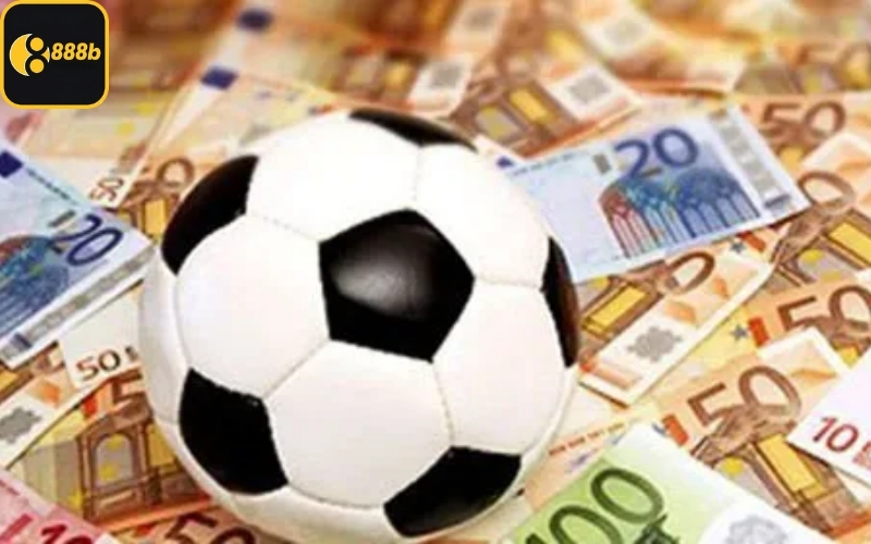 Hướng dẫn liên hệ đội ngũ hỗ trợ khách hàng trực tuyến nhanh