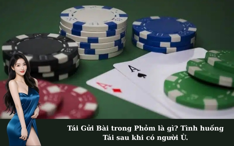 Tái Gửi Bài trong Phỏm là gì? Tình huống Tái sau khi có người Ù.