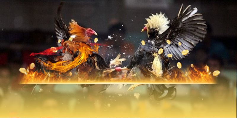 Chính Sách Bảo Mật