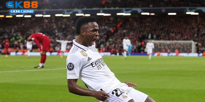 Thống kê dữ liệu chuyên nghiệp