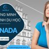 Chứng Minh Tài Chính Du Học Giải Pháp Trọn Gói, Uy Tín 100%