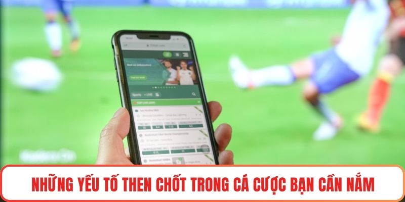 Những yếu tố then chốt trong cá cược bạn cần nắm
