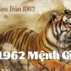 1962 tuổi gì, hợp màu gì: Khám phá tử vi và phong thủy tuổi Nhâm Dần 2026