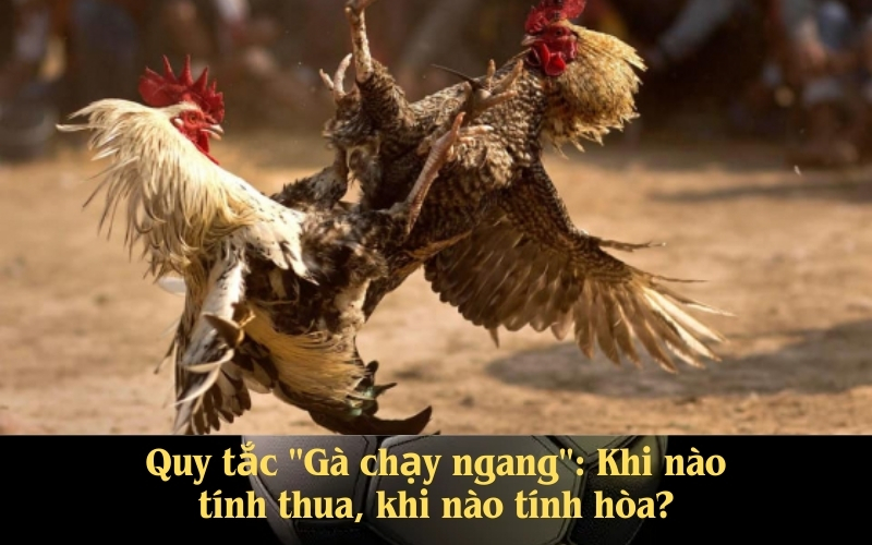 Quy tắc Gà chạy ngang Khi nào tính thua, khi nào tính hòa