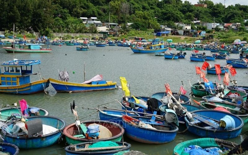 Khám phá văn hóa chơi bài độc đáo của người dân vùng biển