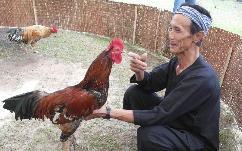 Kỹ thuật om bóp và vào nghệ giúp da gà dày đỏ au