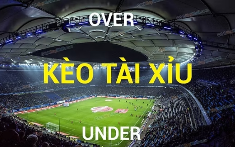 Top 5 giải đấu có tỷ lệ nổ Tài cao nhất mùa giải năm nay