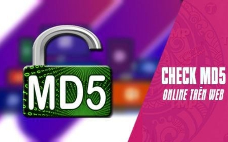 Vai trò của MD5 trong việc duy trì công bằng eSports