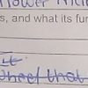 Explain what a sheave wheel is and what it does clearly